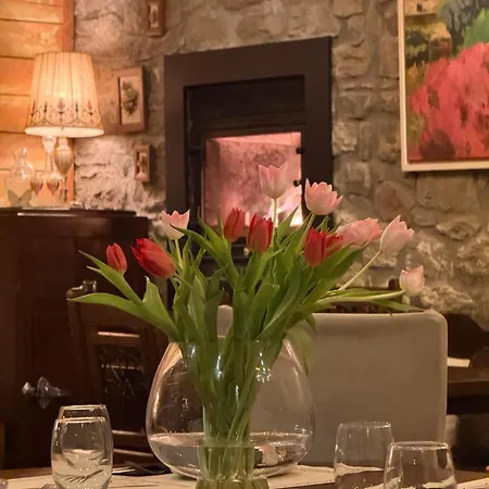 Gæstehus En Kanalion Well